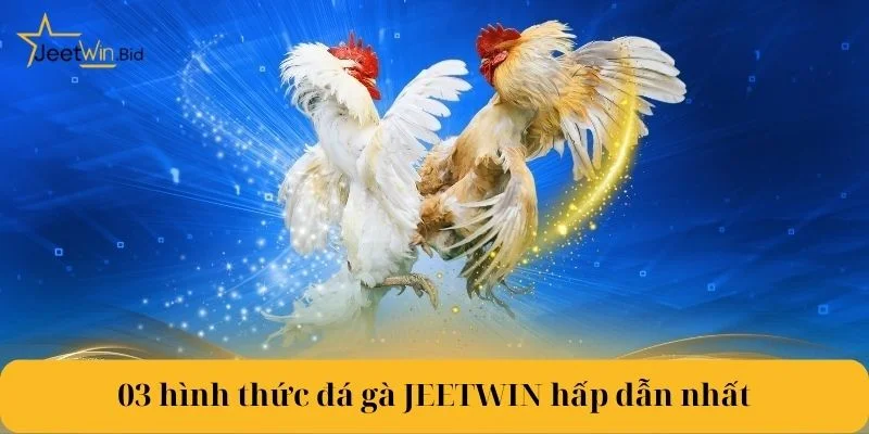 Đá Gà Jeetwin 3 Tuyển tập loại hình đá gà Jeetwin được nhiều người yêu thích nhất.